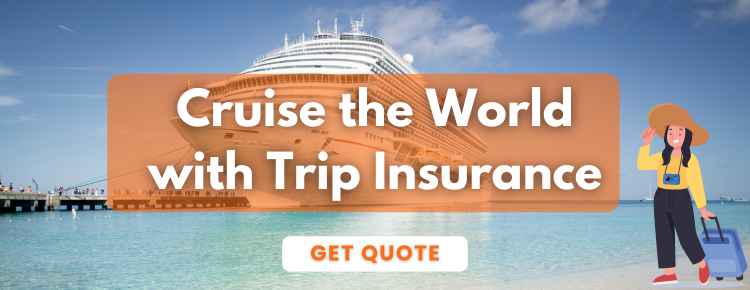 Trip Insurance For Cruise